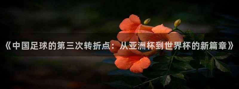 世界杯女足直播：《中国足球的第三次转折点：从亚洲杯到世界杯的新篇章》