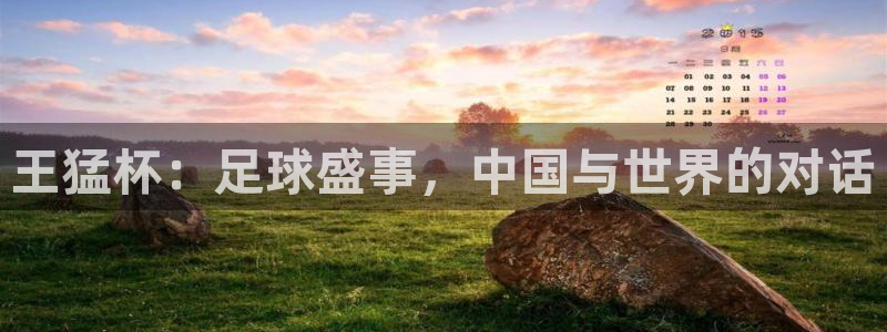 英格兰联赛杯直播：王猛杯：足球盛事，中国与世界的对话