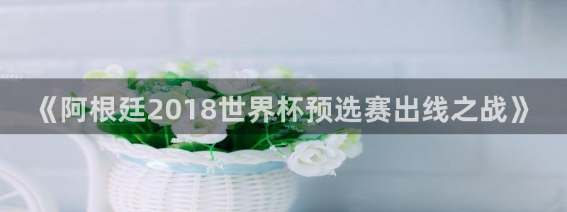 2026世界杯直播免费观看：《阿根廷2018世界杯预选赛出线之战》