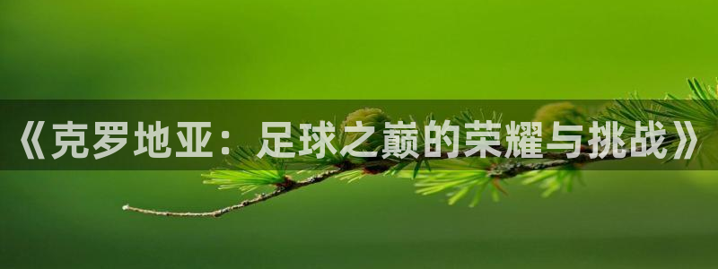 亚洲杯足球：《克罗地亚：足球之巅的荣耀与挑战》
