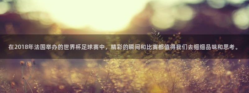 2026世界杯欧洲预选赛赛程表：在2018年法国举办的世界杯足球赛中，精彩的瞬间和比赛都值得我们去细细品味和思考。
