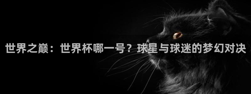 世界杯欧洲预选赛：世界之巅：世界杯哪一号？球星与球迷的梦幻对决