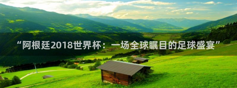 2026世界杯直播免费观看：“阿根廷2018世界杯：一场全球瞩目的足球盛宴”