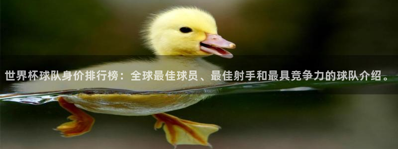 世界杯球队排名：世界杯球队身价排行榜：全球最佳球员、最佳射手和最具竞争力的球队介绍。