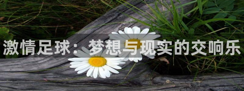 2026世界杯32强对阵图表：激情足球：梦想与现实的交响乐