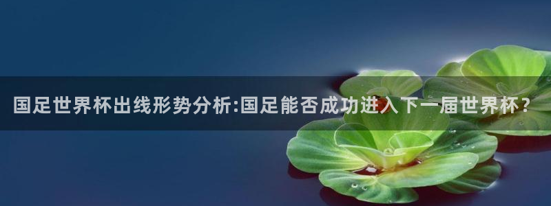 世预赛免费直播入口：国足世界杯出线形势分析:国足能否成功进入下一届世界杯？