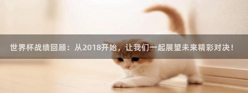 世界杯预选赛亚洲区积分榜：世界杯战绩回顾：从2018开始，让我们一起展望未来精彩对决！